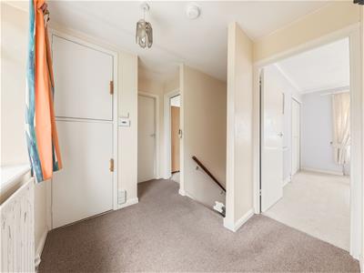 Picture 23